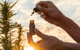 buy cbd oil, biomedical pharms labs