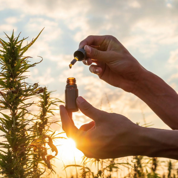 buy cbd oil, biomedical pharms labs