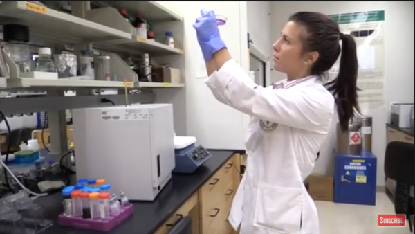 CBDa:CBGa immune Booster (Rare Cannabinoids)